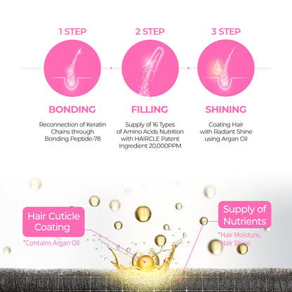 Bondex bonding remodeling line