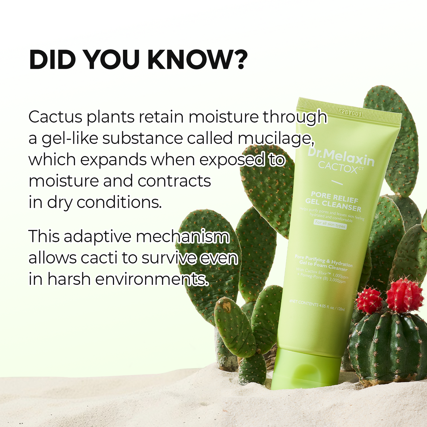 CACTOX Pore Relief Gel Cleanser