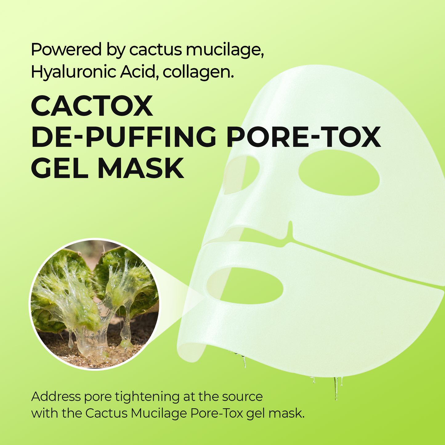 Cactox Hydro Pore Care Set